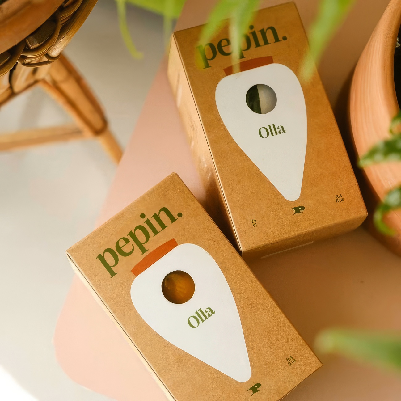 Olla en terre cuite - Arrosage diffus - Image 3