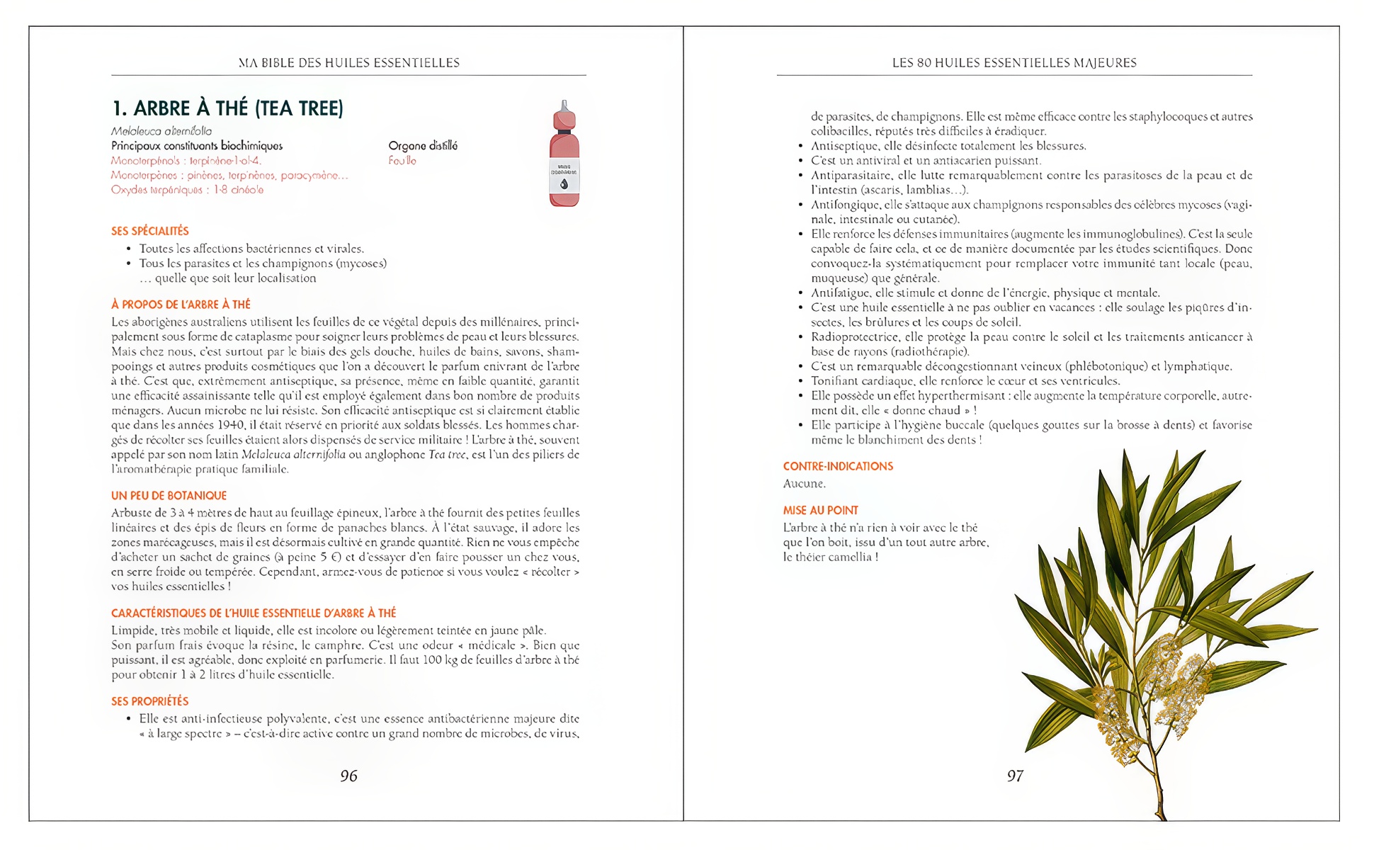 Ma bible des huiles essentielles - Edition de luxe - Image 6
