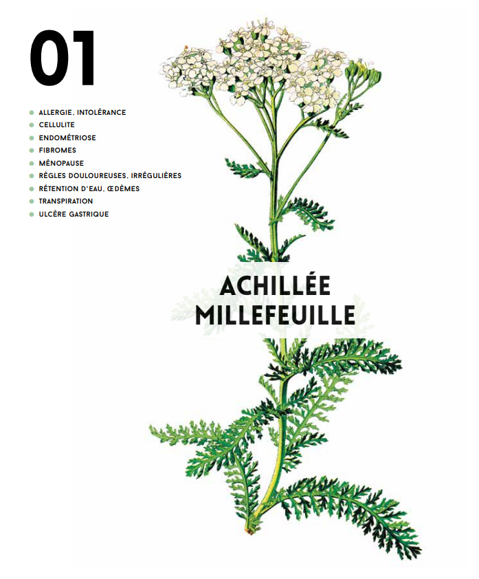 Ma bible de l'herboristerie - Edition de luxe - Image 4