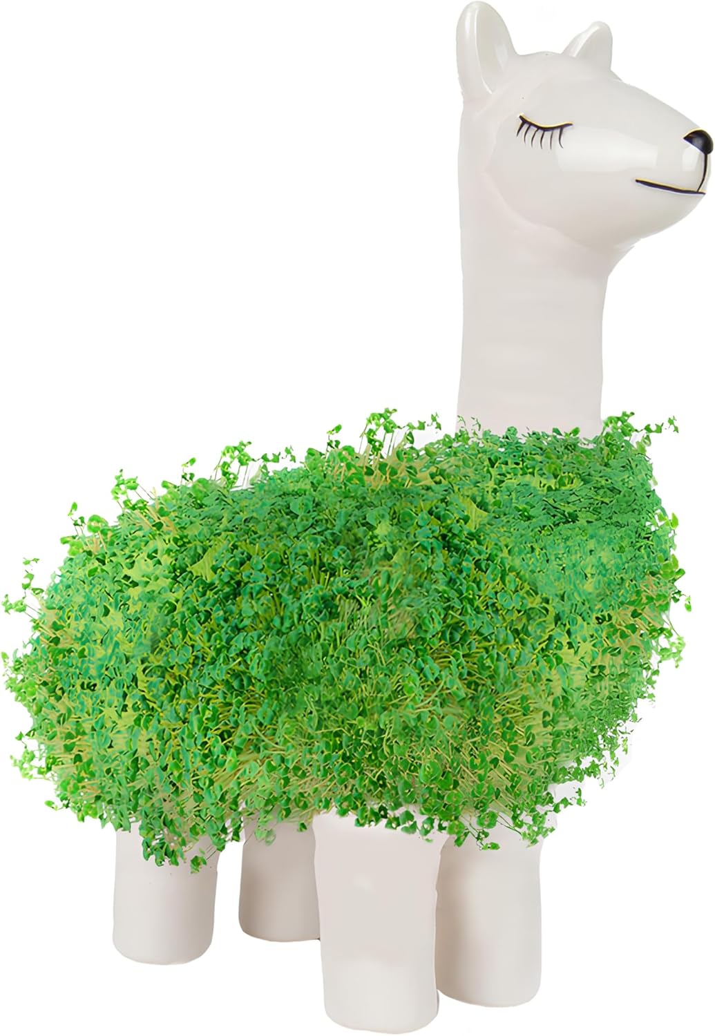 Lama en céramique - Kit pour faire pousser vos graines de chia - Image 4