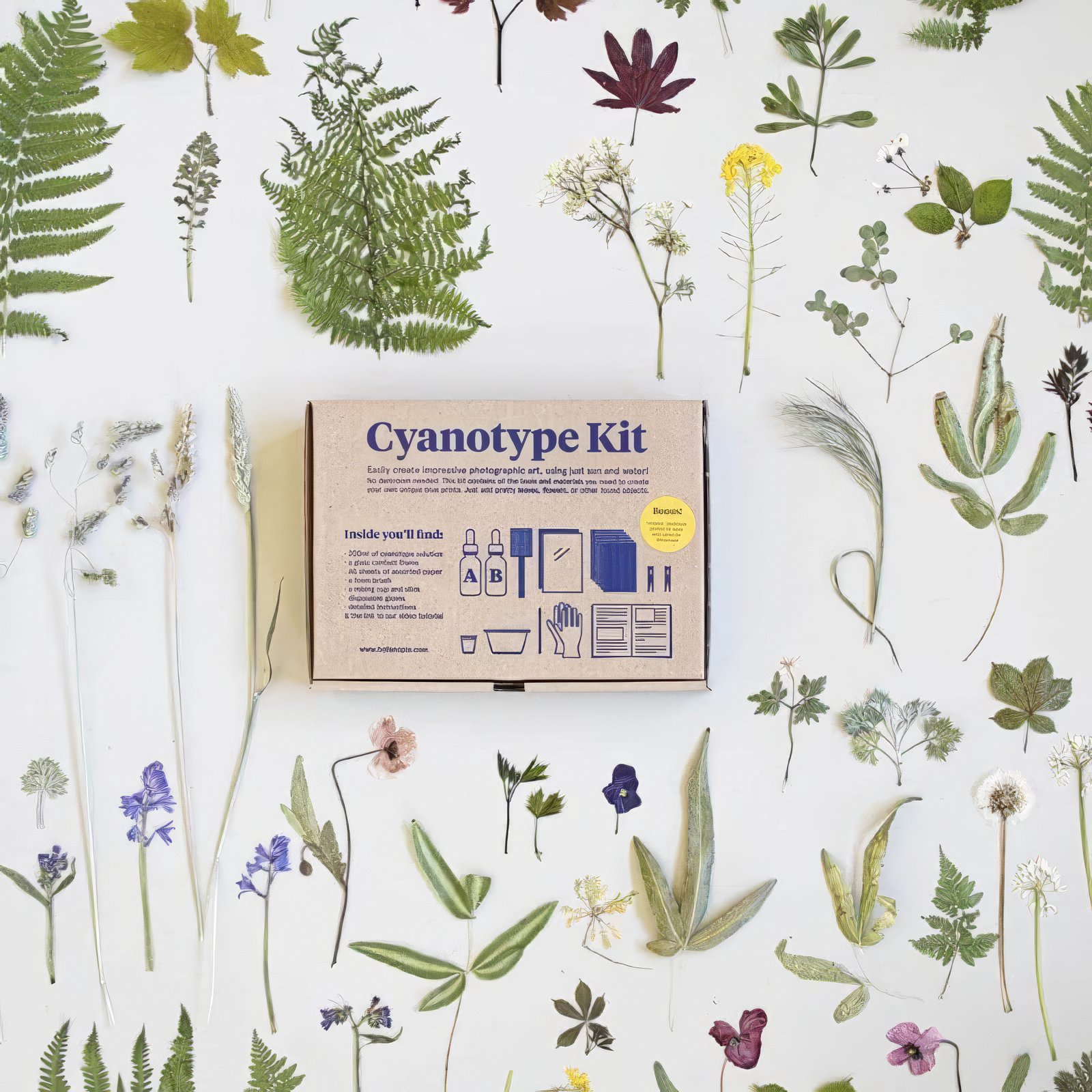 Kit découverte Cyanotype