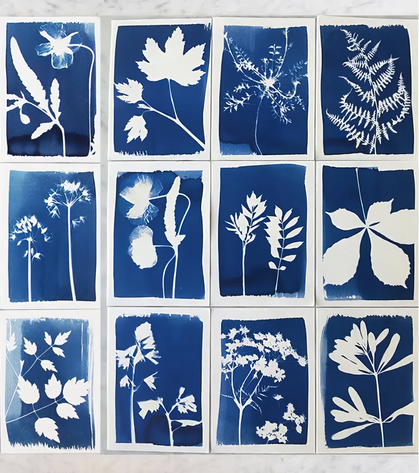 Kit découverte Cyanotype - Image 4