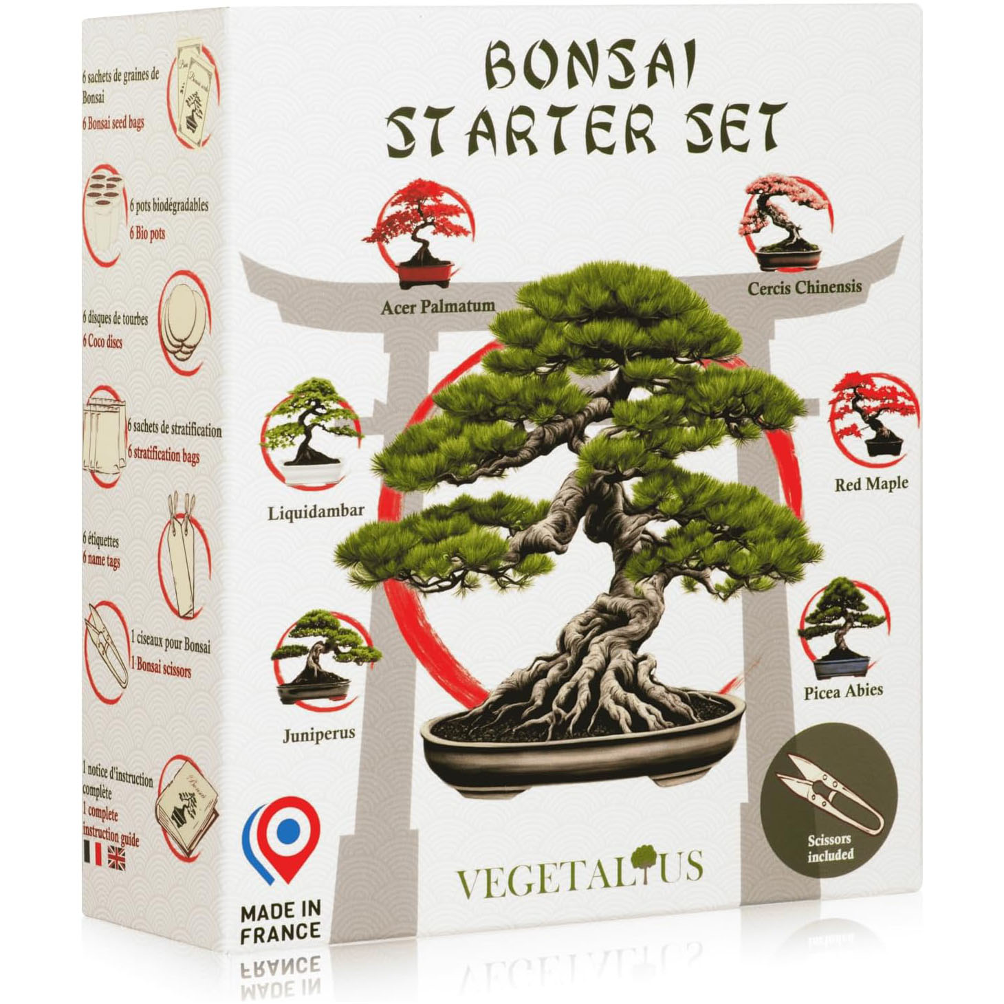 Kit de 6 Bonsaï à faire pousser - Image 2